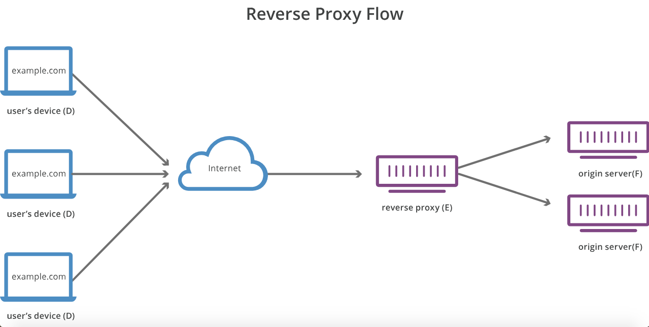 Reverse Proxy Flow